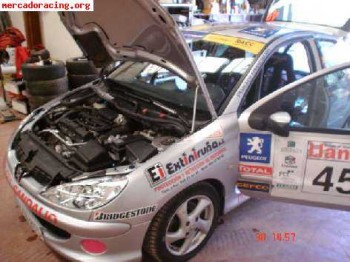 Vendo 206 desafio regional