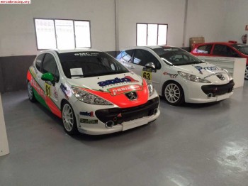 Se vende peugeot 207 lw campeon copa