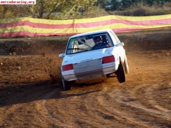 Peugeot 205 mi16 (lote) 