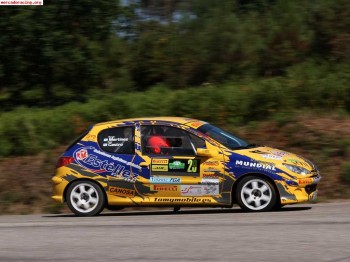 Peugeot 206 desafio (muy mejorado)