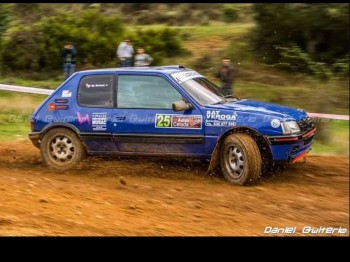 205 gti 16v de tierra 3000 euros