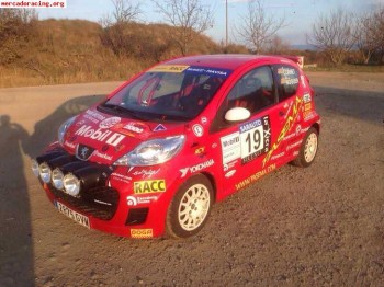 Peugeot 107 r1 campeón volant racc 2015