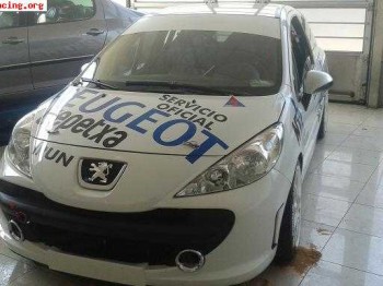 Vendo 207 copa evolucionado