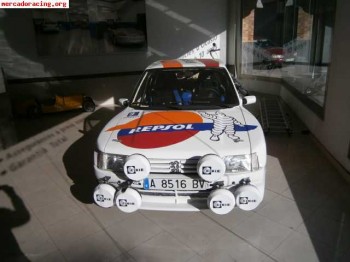 205 maxi de rallye