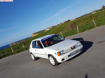 205 rallye gra