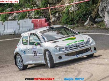 Se vende 206 maxi f2000