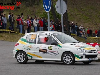 Se vende o se alquila peugeot 206 desafio frances