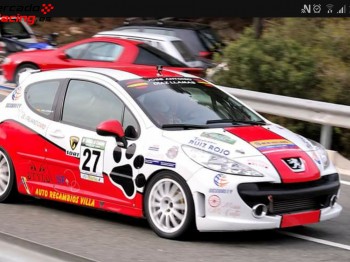 Vendo 207 rc procedente de la copa hecho para montaña