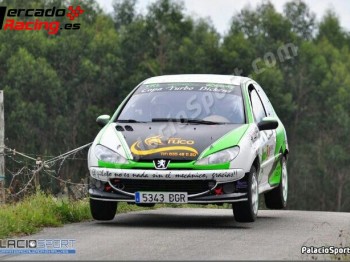 Peugeot 206 desafio nacional