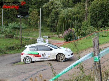  se vende 206 rc gr.a (frances)