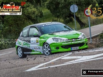 Vendo 206 ex desafio