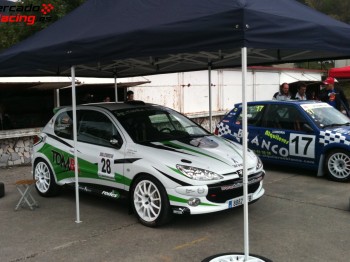 Peugeot 206 rc ex-ojeda