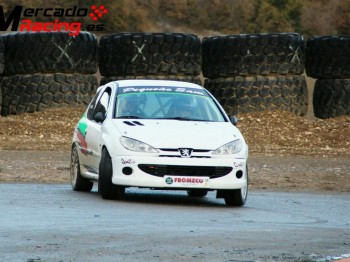 Se vende 206 rc frances (secuencial)