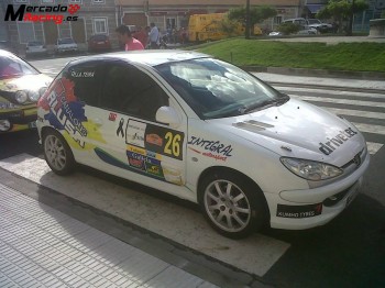 Peugeot 206 xs 