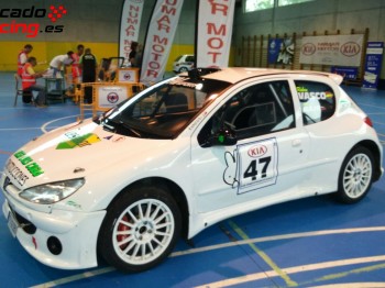 Se vende peugeot 206 rc maxi f2000