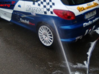 206 desafío frances