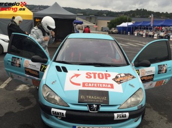 Peugeot 206 1.6 16v recién montado (pts, be4, árboles...)