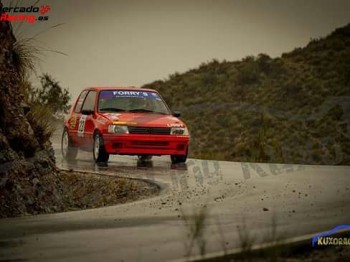 Peugeot 205 gti