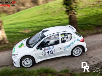 Peugeot 206 rc maxi f2000