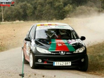 Peugeot 206 2.0