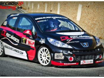 Peugeot 207 copa evolucionado!!