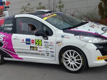 Peugeot 207 rc thp rallye g.n.