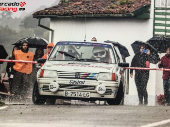 205 rallye grupo a