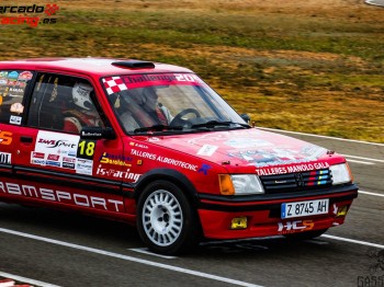 Se vende peugeot 205 gti precio 8000€ negociable segun mater