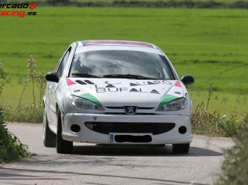 Peugeot 206 gti rally