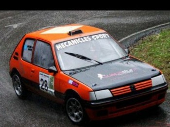 Peugeot 205 gti montaña o circuitos