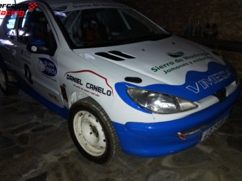 Peugeot 206 gti tierra