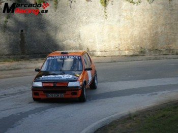 205 gti 16v montaña o circuitos 