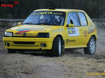Peugeot 205 tierra 