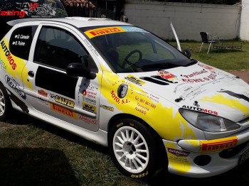 Peugeot 206 1.6 16v (volante fga)