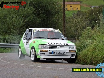 Vendo peugeot 205 rally 