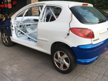 Se vende proyecto 206xs