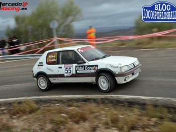 Peugeot 205 gti