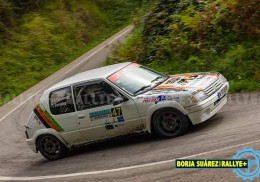 Peugeot 205 rallye