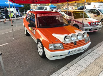 Peugeot 309 gti 16v grupo a