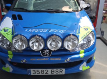 Peugeot 206 del desafio