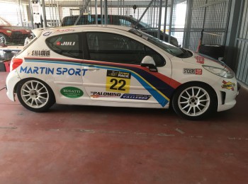 Oferta 14.999 peugeot 207 rc lw copa