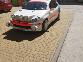 Peugeot 206xs del desafio frances mejorado