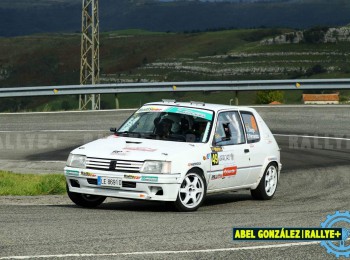 Peugeot 205 rallye