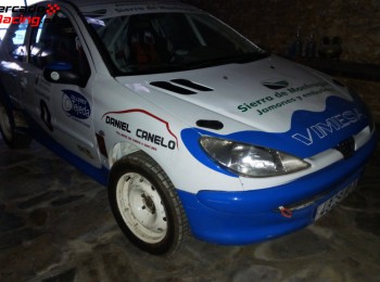 Peugeot 206 gti de tierra