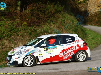 Peugeot 208 pure tech. volan fapa