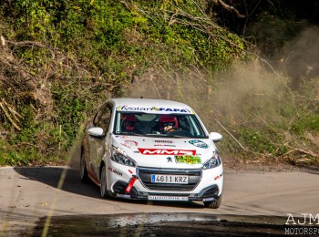 Peugeot 208 volanfapa 