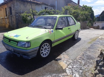 Peugeot 309 gti 16v