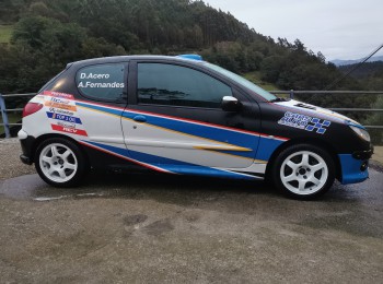 Peugeot 206 desafío nacional 