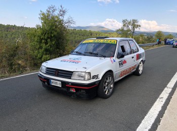 309gti 2.0 16v 7000€