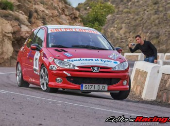 Vendo peugeot 206 rc